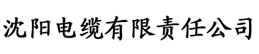 亚洲一区二区三区四区视频电缆厂logo